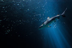 Aquarium de Paris
